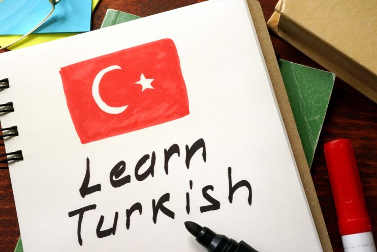 türkçenin yabancı dil olarak öğretimi