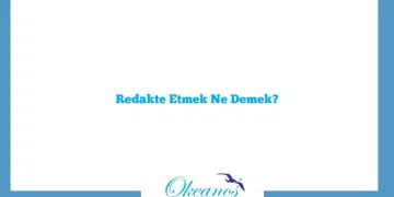 Redakte Etmek Ne Demek?