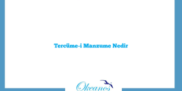 Tercüme-i Manzume Nedir